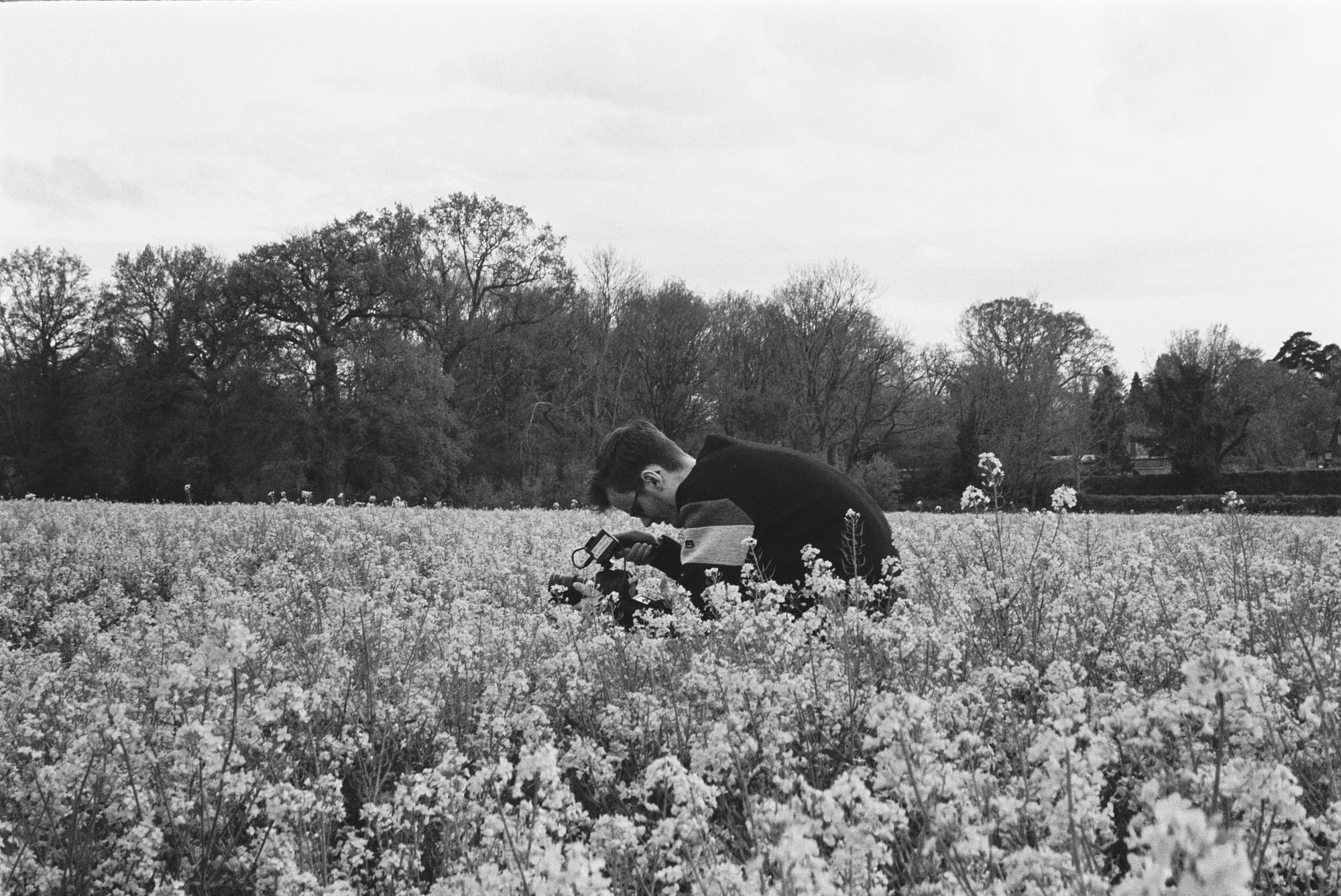 Person in Field with Camera - Filmora Vs iMovie