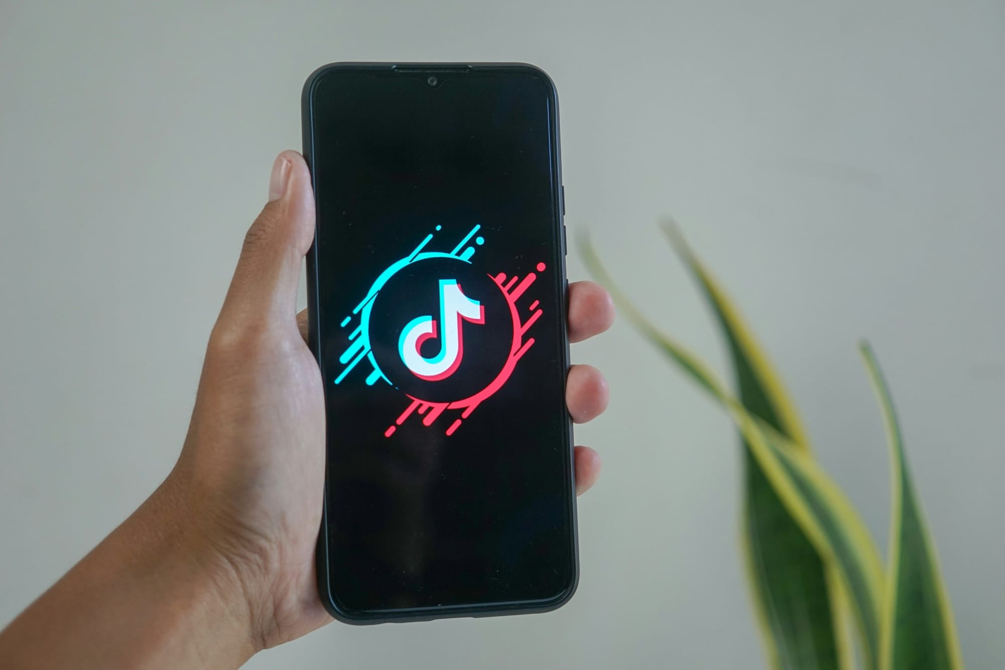 tiktok - Why Am I Not Going Viral on TikTok
