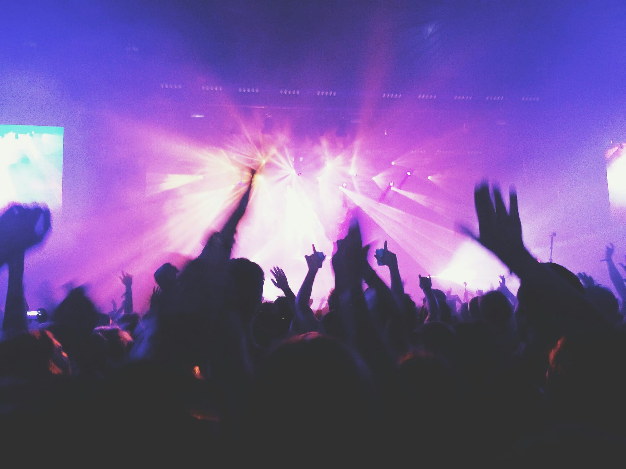 People partying in Club-  TikTok Automation